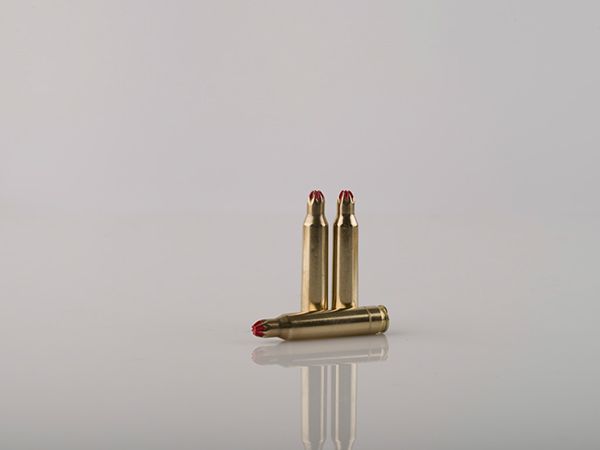 7,62 x 39 (A-393) (A-492)